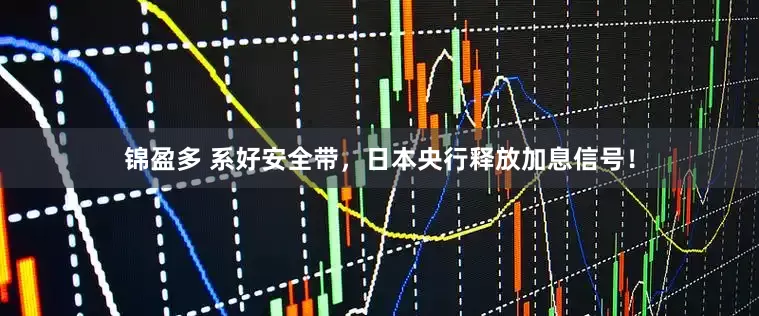 锦盈多 系好安全带，日本央行释放加息信号！