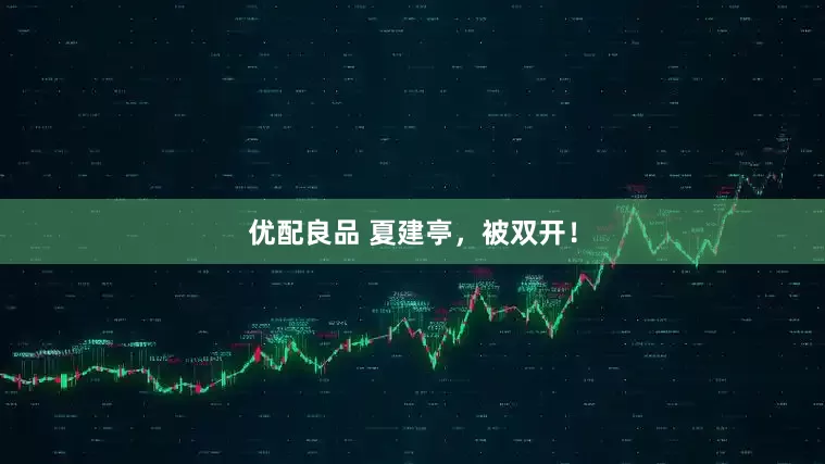 优配良品 夏建亭，被双开！