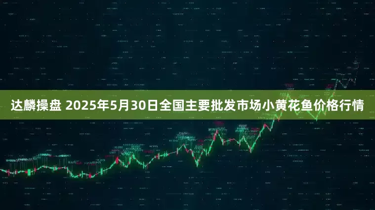 达麟操盘 2025年5月30日全国主要批发市场小黄花鱼价格行情