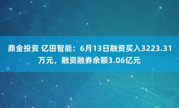 鼎金投资 亿田智能：6月13日融资买入3223.31万元，融资融券余额3.06亿元